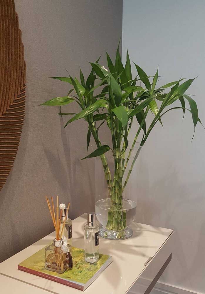 Bambou porte-bonheur – Vase en verre